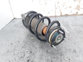 Front shock absorber/damper