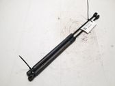 Rear window strut damper