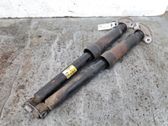 Rear shock absorber/damper