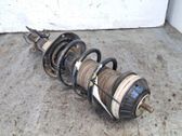 Front shock absorber/damper