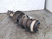 Front shock absorber/damper