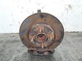 Front wheel hub spindle knuckle