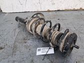 Front shock absorber/damper