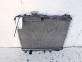 Heater blower radiator