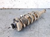 Stoßdämpfer hinten