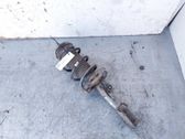 Front shock absorber/damper