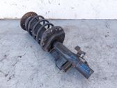 Front shock absorber/damper