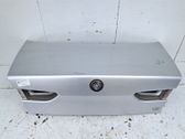 Tailgate/trunk/boot lid