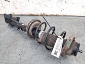 Stoßdämpfer hinten