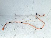 Faisceau de câblage pour moteur