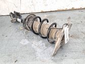 Stoßdämpfer hinten