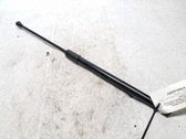 Tailgate/trunk strut/damper