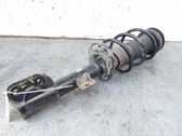Front shock absorber/damper