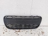 Atrapa chłodnicy / Grill