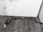Stabilisator vorne