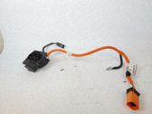 Engine installation wiring loom