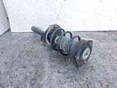Front shock absorber/damper