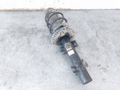 Front shock absorber/damper