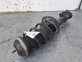 Front shock absorber/damper