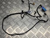 Front door wiring loom