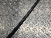 Moulures des vitres de la porte arrière