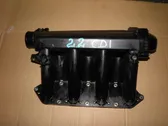 Intake manifold