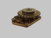 Slide rail for timing chain