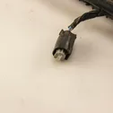 Other wiring loom