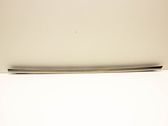 Rear door glass trim molding