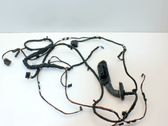 Other wiring loom