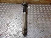 Rear shock absorber/damper