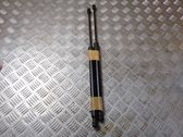 Tailgate/trunk strut/damper
