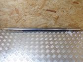 Front door glass trim molding