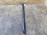 Tailgate/trunk strut/damper