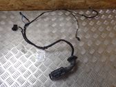 Front door wiring loom