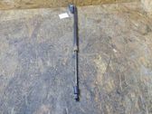 Tailgate/trunk strut/damper