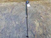 Tailgate/trunk strut/damper