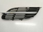 Front bumper lower grill