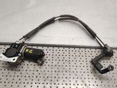 Rear door window regulator motor