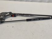 Front bonnet/hood damper/strut