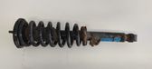 Front shock absorber with coil spring