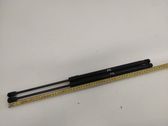 Front bonnet/hood damper/strut