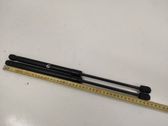 Tailgate/trunk strut/damper