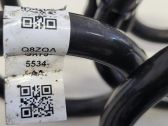Rear coil spring