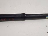 Rear shock absorber/damper