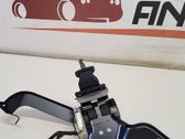 Roof seat belt
