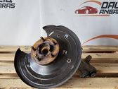 Rear wheel hub spindle/knuckle