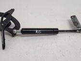 Tailgate/trunk strut/damper