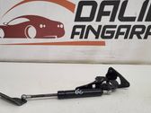 Tailgate/trunk strut/damper