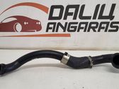 Intercooler hose/pipe